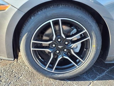 2023 Ford Mustang EcoBoost