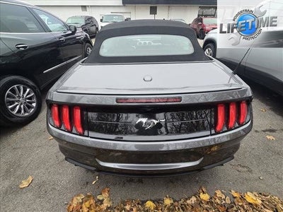 2023 Ford Mustang EcoBoost